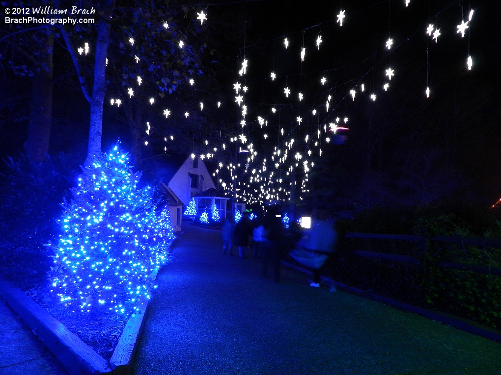 Snowflake stars lined the sky in Scotland.