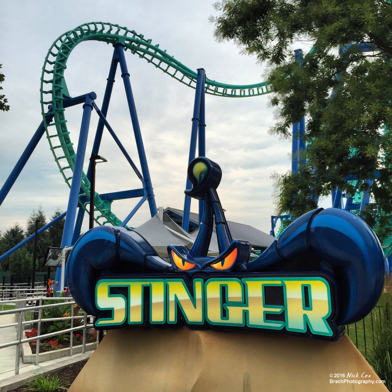 The logo with the cobra roll in the background.