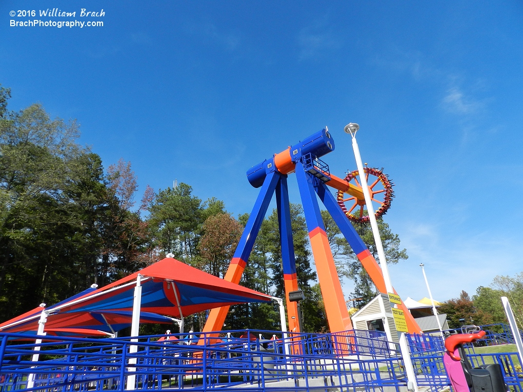 Delirium in motion in the sunshine!