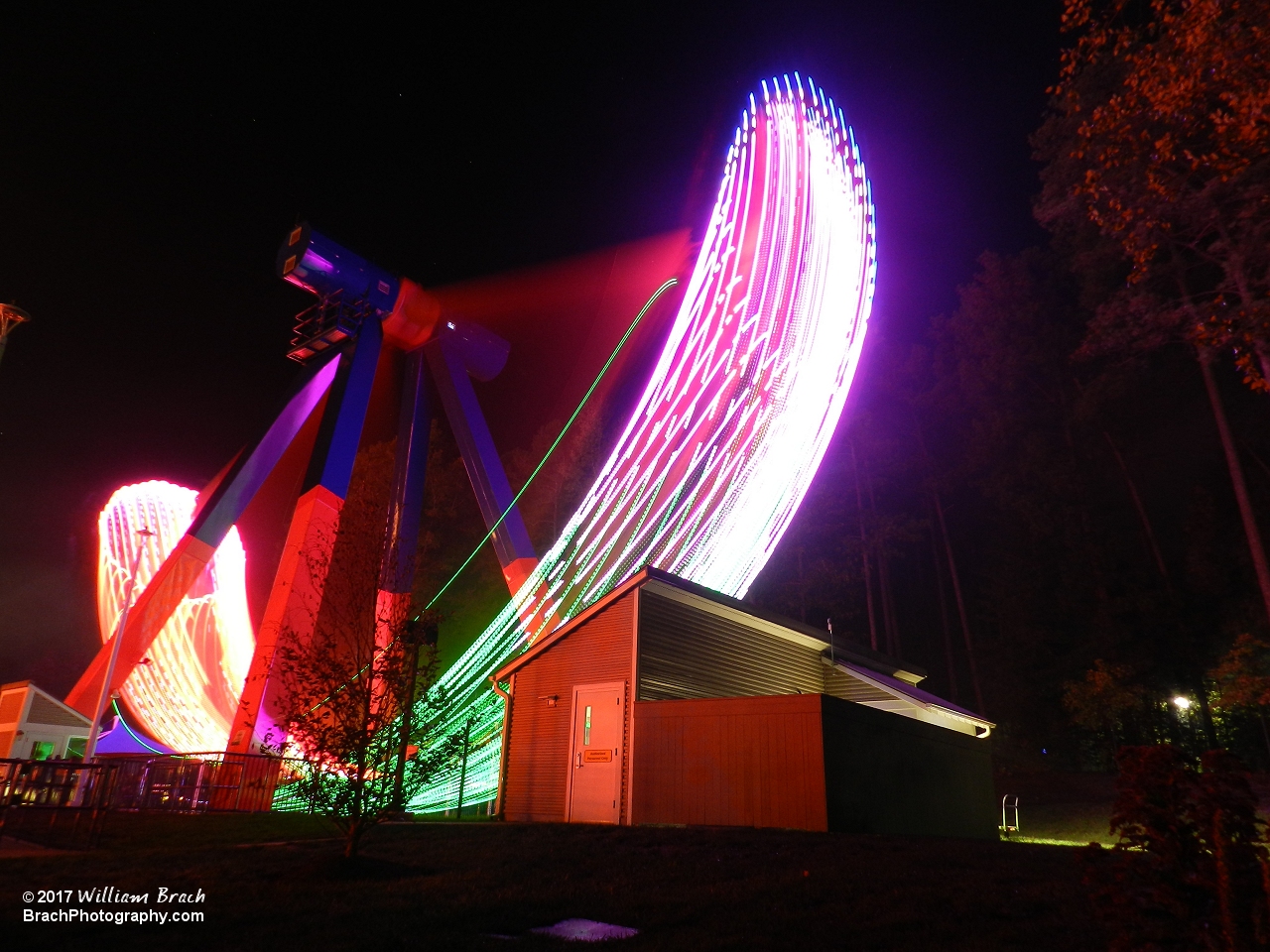 Delirium running at night with the lights on.