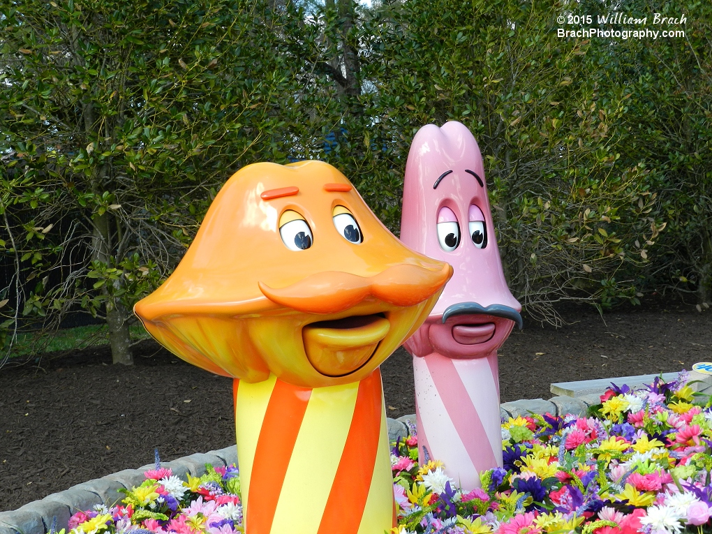 Orange and Tall Pink mushrooms.