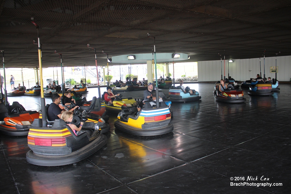Bumper cars.
