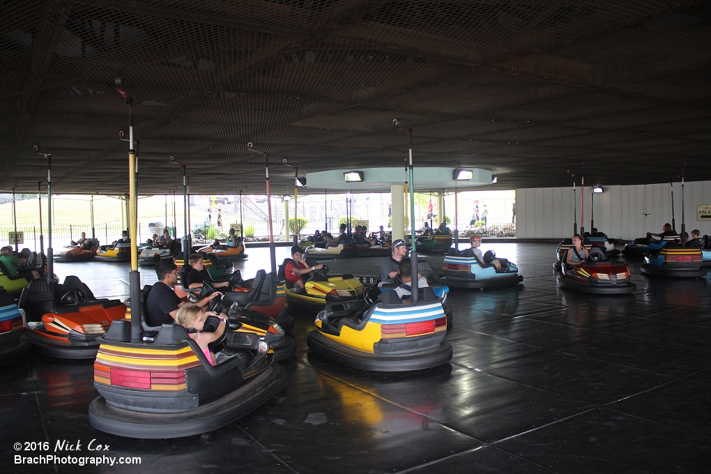 Bumper cars.