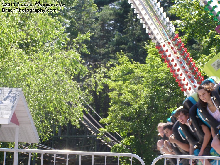 Fandango in motion.