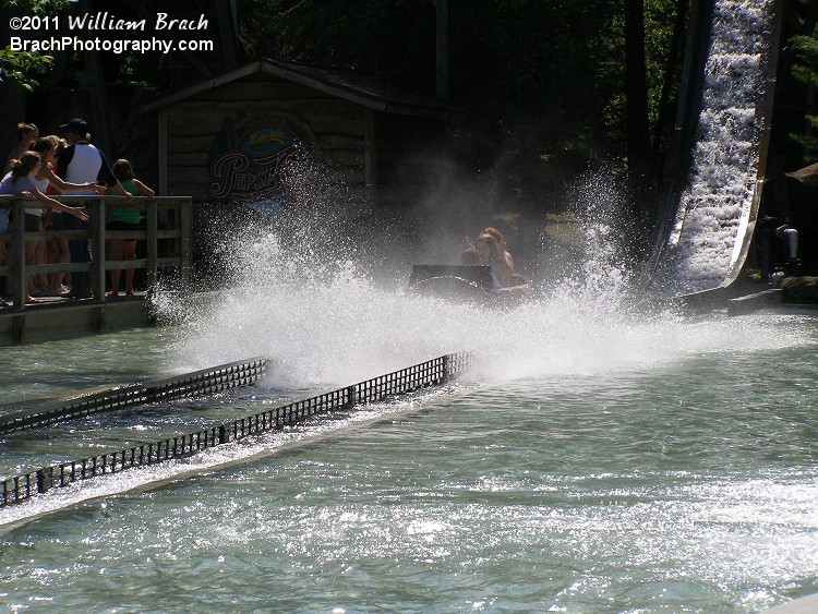 Hitting the pool of water - always feels good to cool down on a hot, humid day!