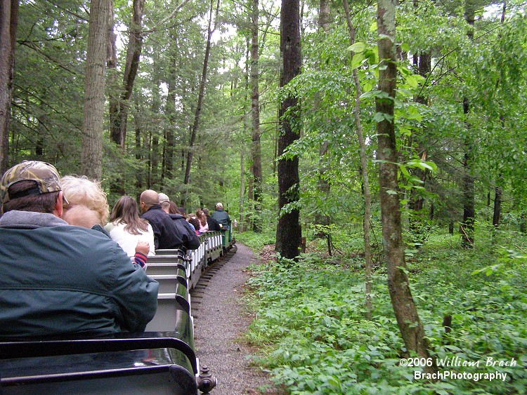 Pioneer Train winding through the woods.