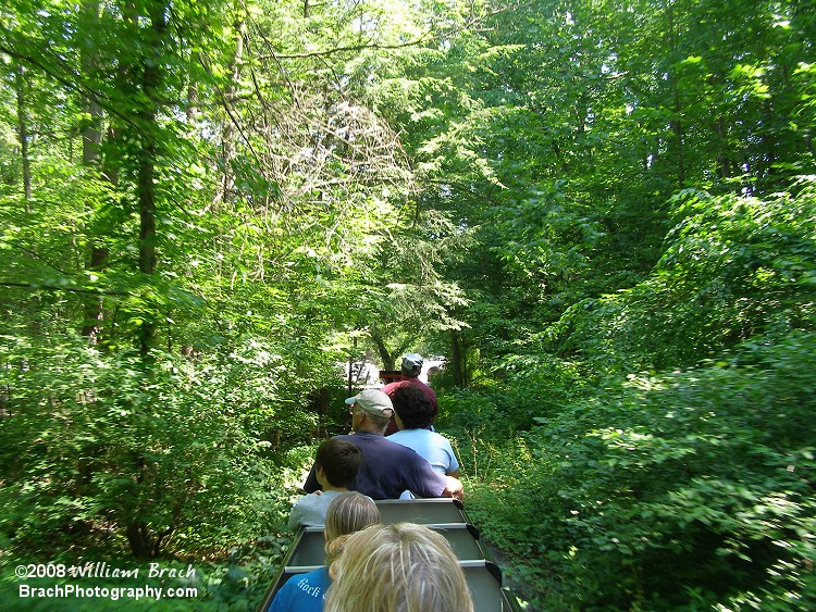 Pioneer Train going through the woods.