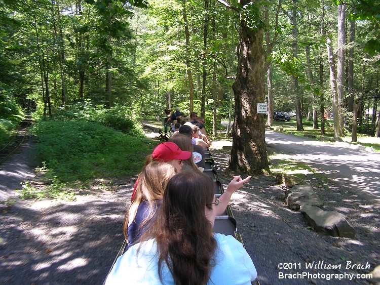 Entering the deep woods.