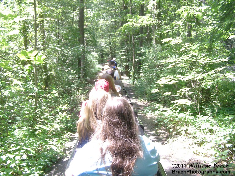 Despite the fact that this was taken in July 2011, this part of the ride was actually relaxing - the deep woods, cool breeze on a train ride.  Can't get much better than this!