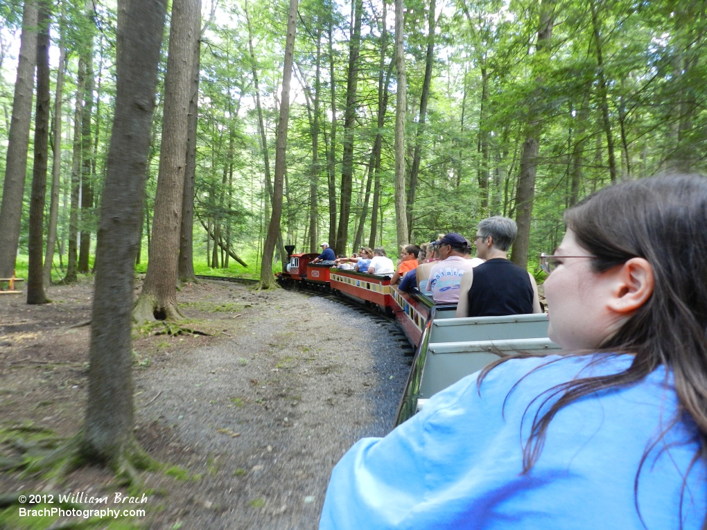 Red train traveling through the woods.