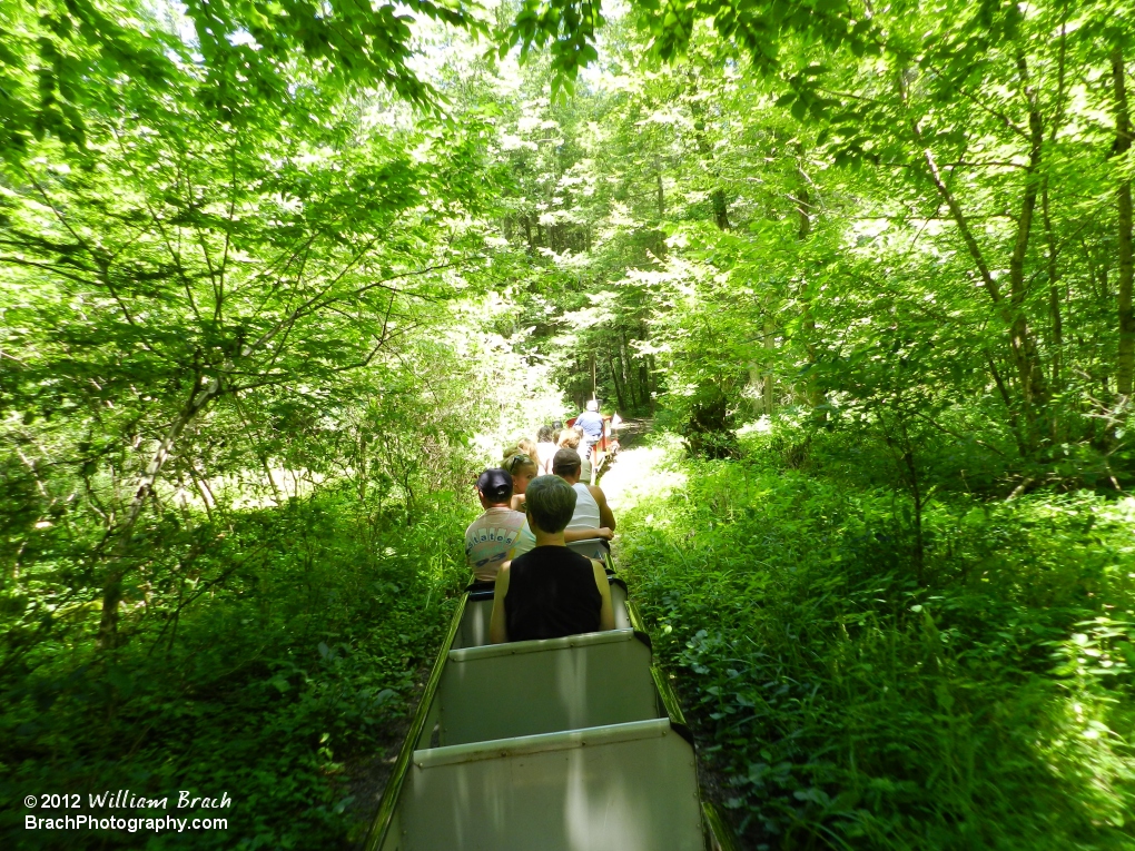 Traveling through the woods.