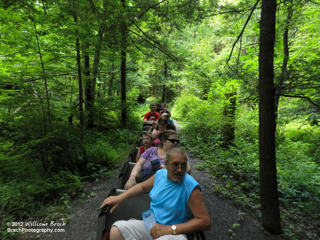 Traveling through the woods.