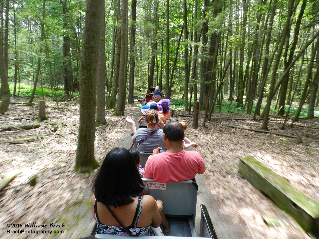 Time for a trip on the Pioneer Train out into the woods!