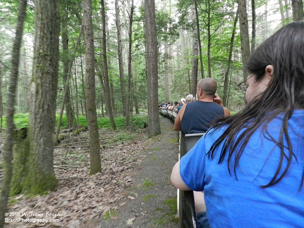 Through the woods we go on the Pioneer Train!