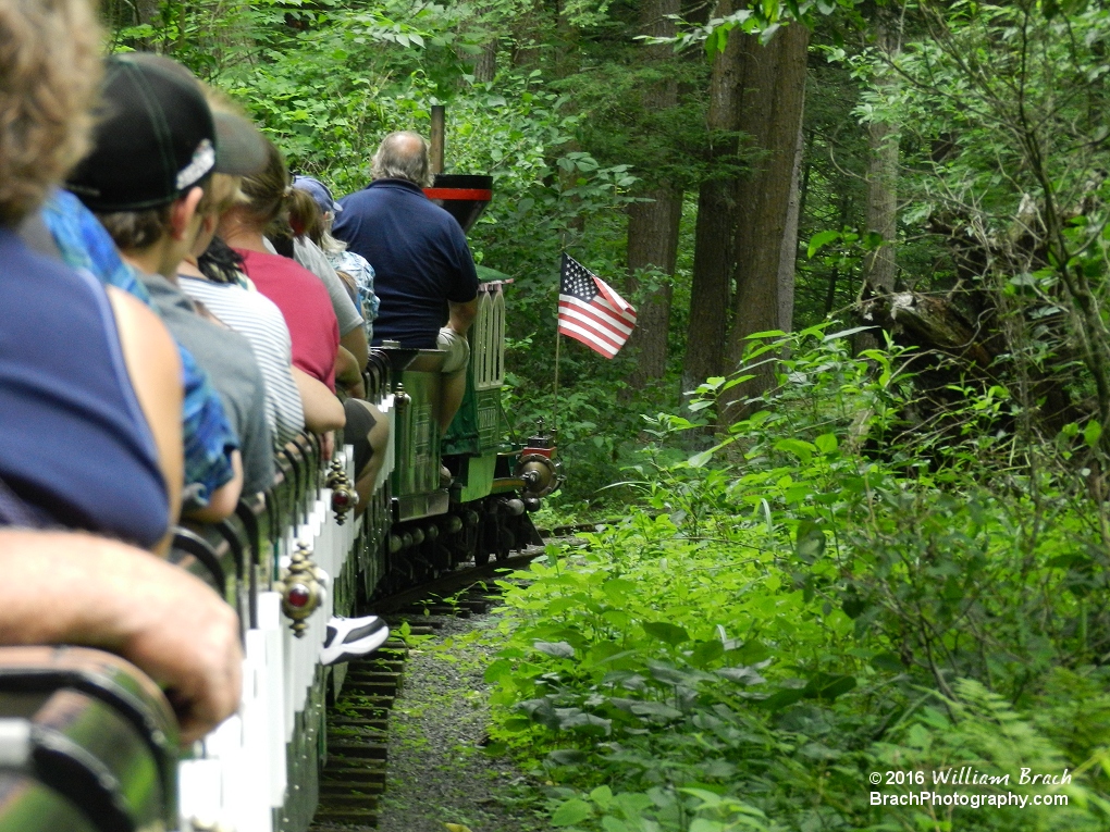 Pioneer Train rolling through the woods.