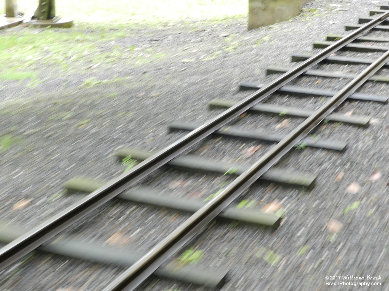 Pioneer Train railroad tracks.