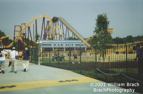 BRAND NEW, freshly built BATWING!