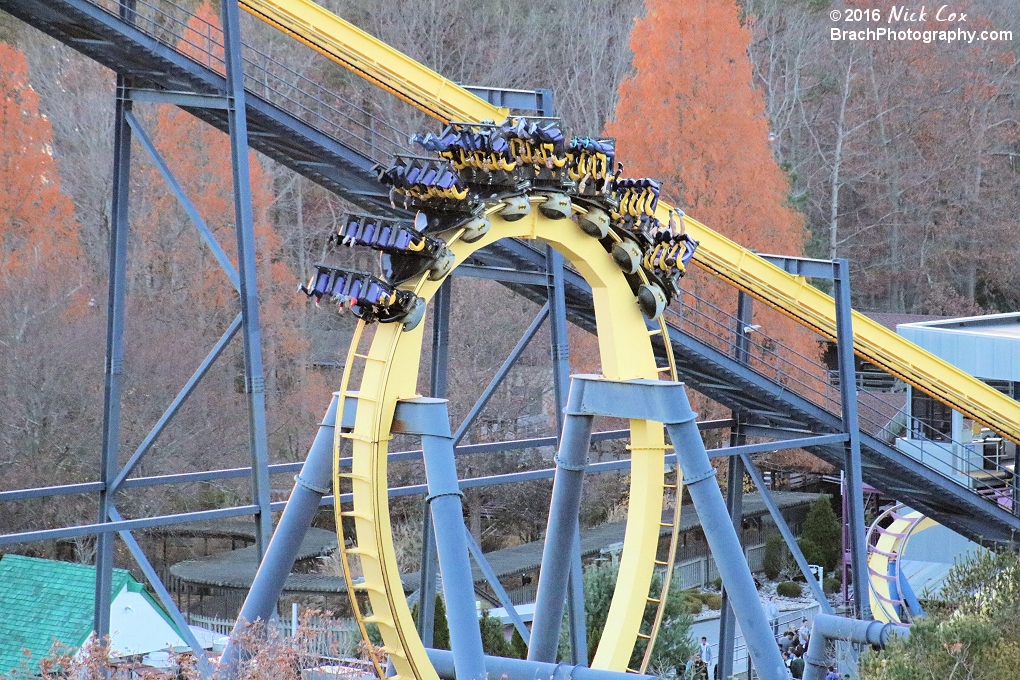 Batman flipping upside down.